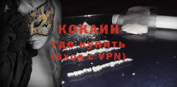хмурый Аркадак