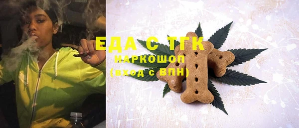 хмурый Аркадак