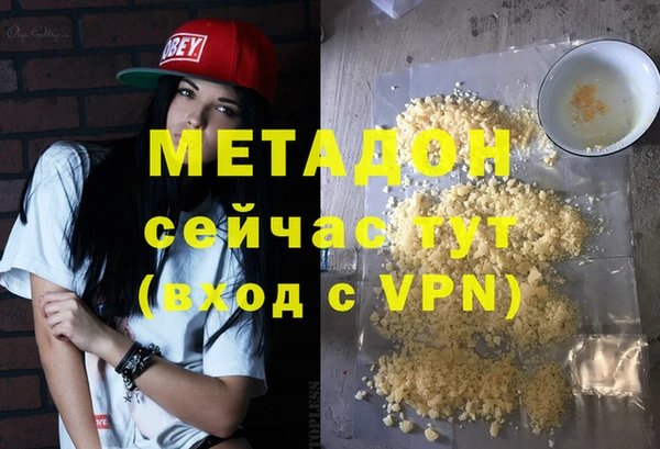 хмурый Аркадак