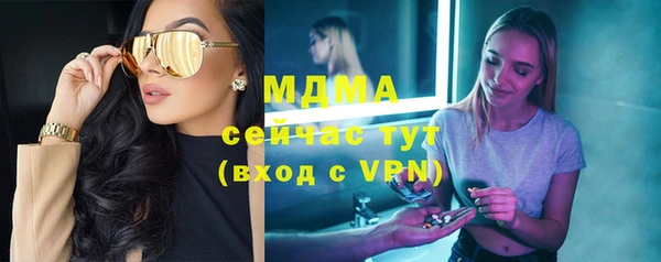 хмурый Аркадак