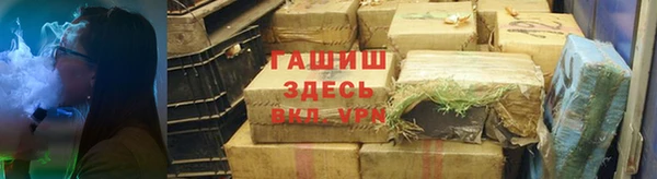хмурый Аркадак