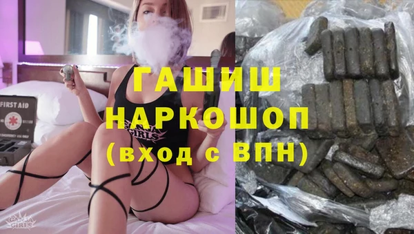 хмурый Аркадак