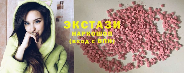 хмурый Аркадак