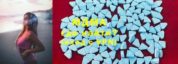 хмурый Аркадак