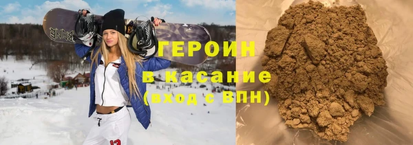 хмурый Аркадак