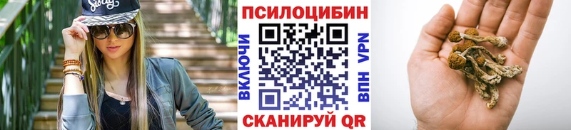 наркошоп  Мглин  OMG ссылки  Галлюциногенные грибы GOLDEN TEACHER 